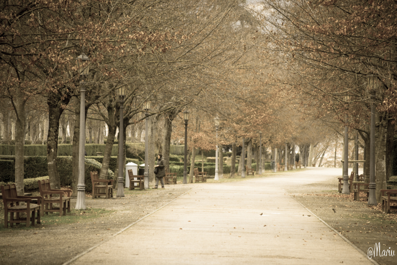 estima_medita_respira