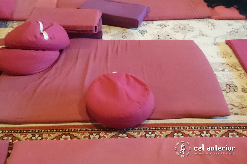 estima_medita_respira_dag_shang_kagyu_09