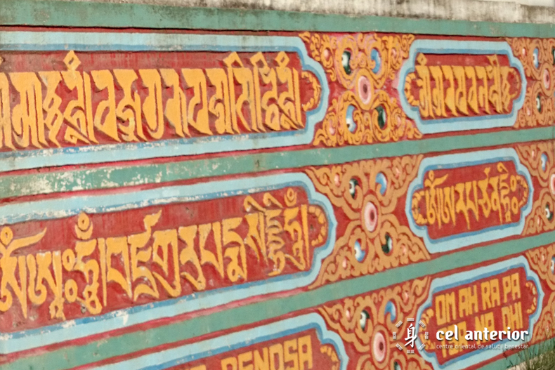 estima_medita_respira_dag_shang_kagyu_06