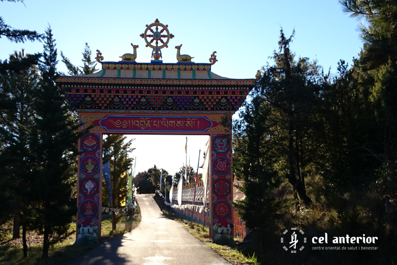 estima_medita_respira_dag_shang_kagyu_04