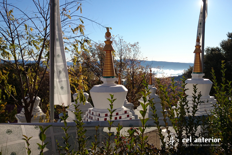 estima_medita_respira_dag_shang_kagyu_03