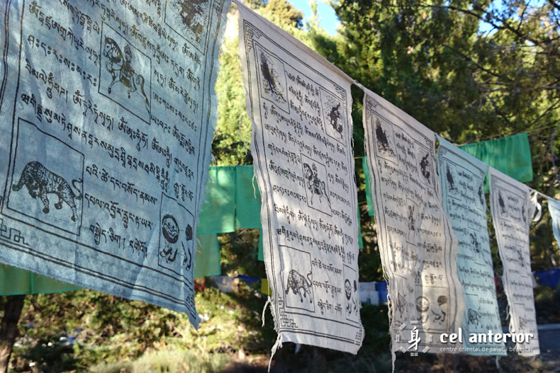 estima_medita_respira_dag_shang_kagyu_02