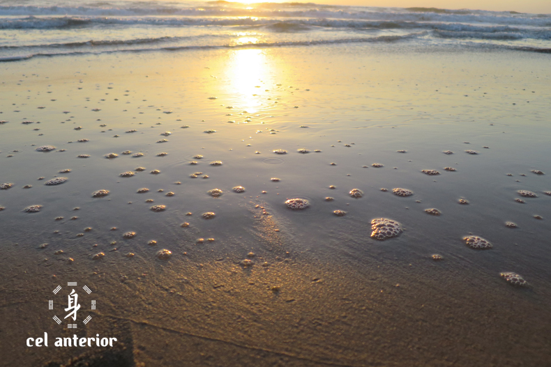 amaneixer_estima_medita_respira_08