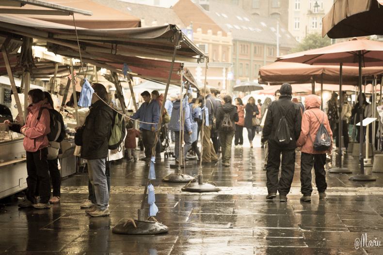 norway24082015-DSC_0009