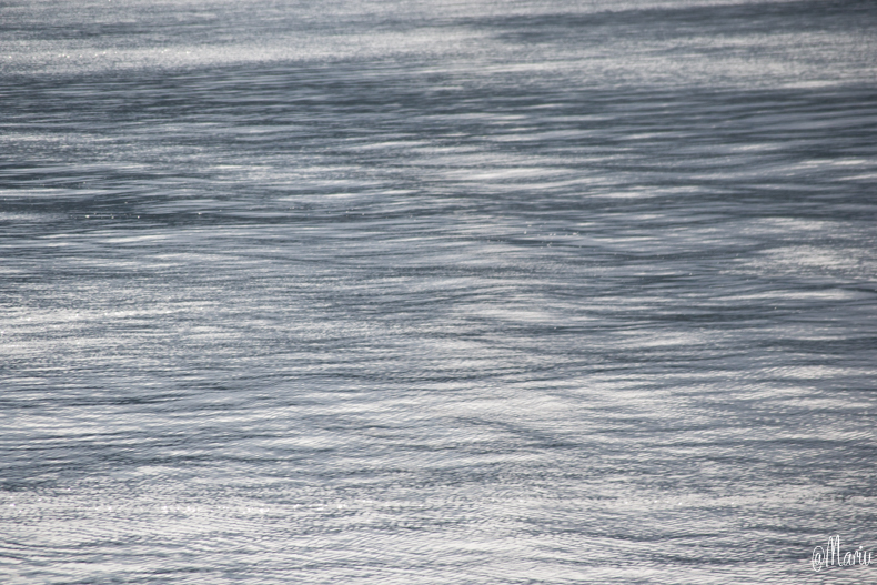 norway25 de agosto de 2015-DSC_0547