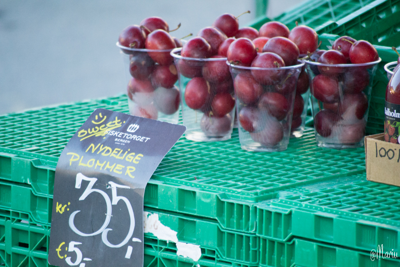 norway25 de agosto de 2015-DSC_0640