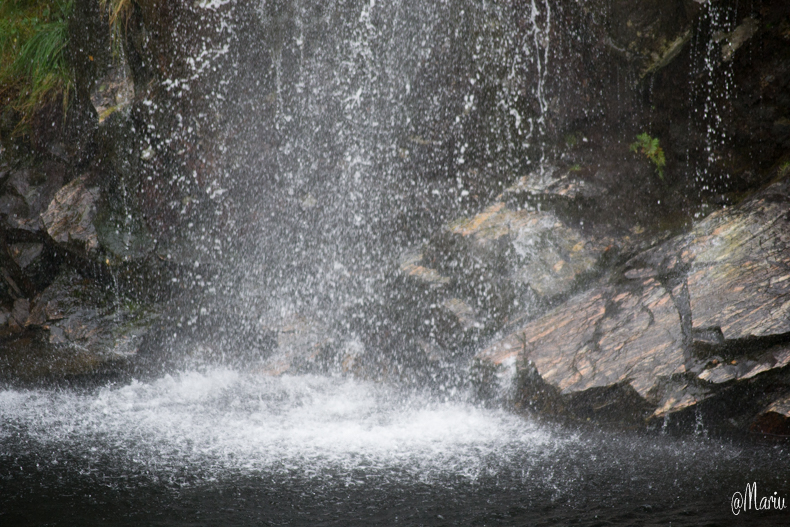 norway25 de agosto de 20152-DSC_0432