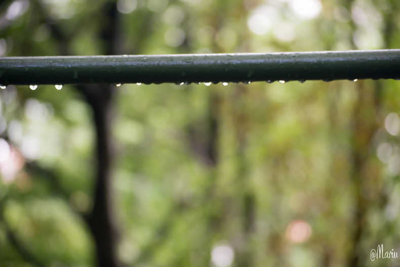 norway27 de agosto de 2015-DSC_0717