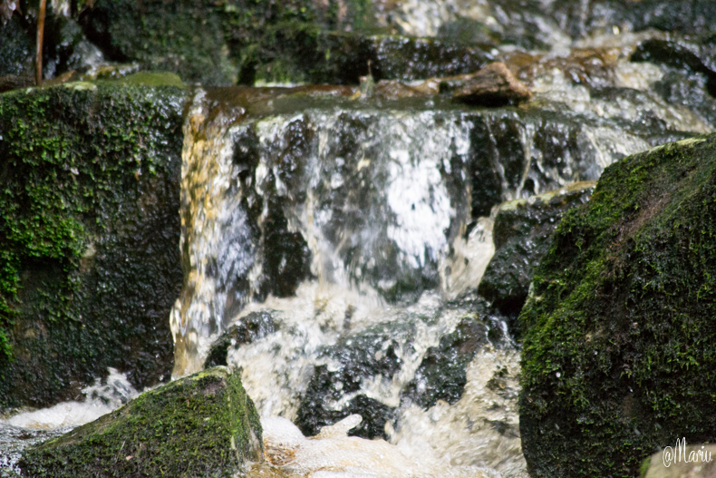 norway27 de agosto de 2015-DSC_0732