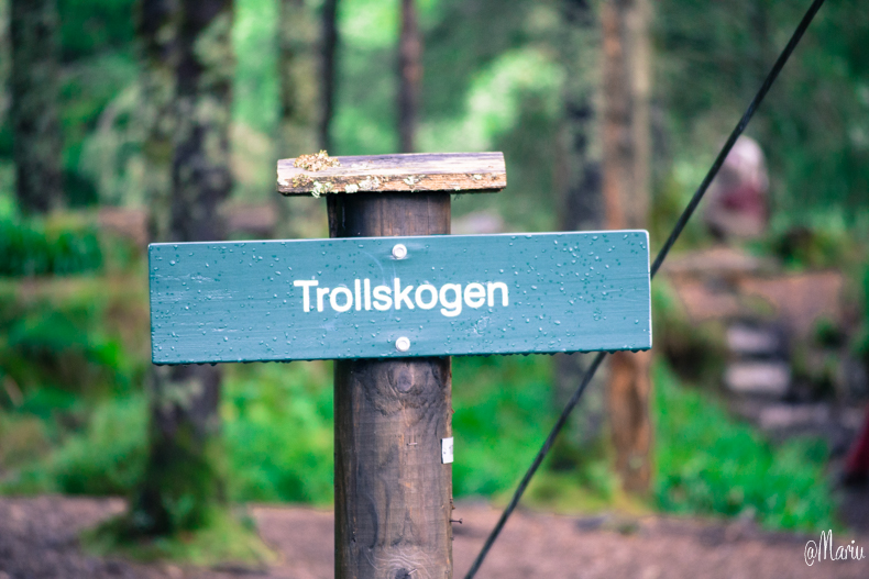 norway27 de agosto de 2015-DSC_0777