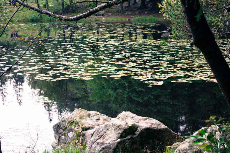 norway27 de agosto de 2015-DSC_0848