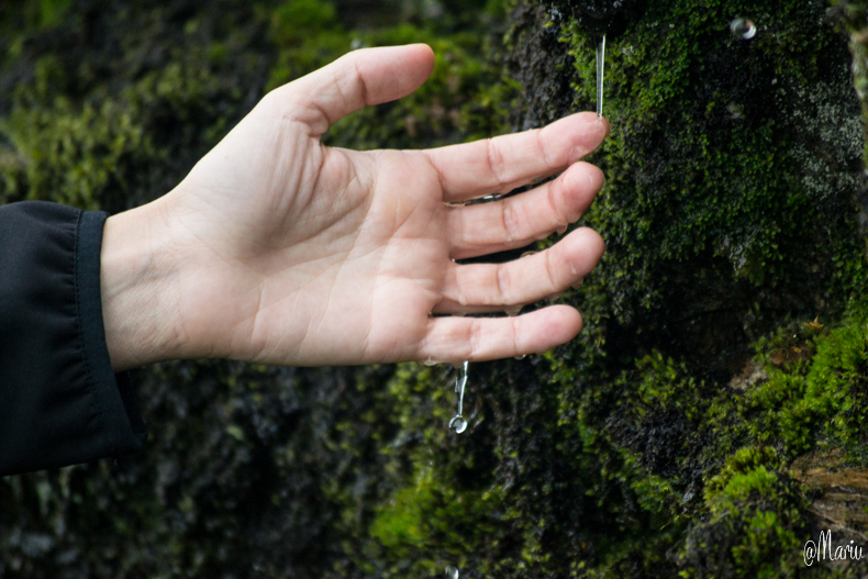 norway27 de agosto de 2015-DSC_0894